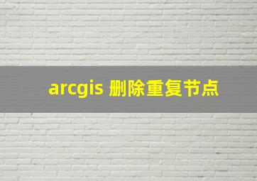 arcgis 删除重复节点